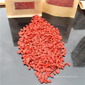 Goji berry in fruit extract Bulk goji berries wholesale goji berry for sale